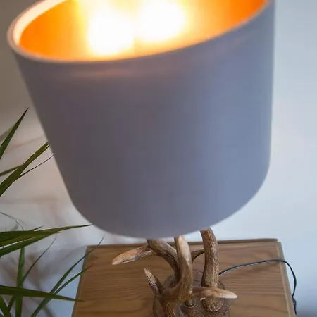 Apartment Hopes & Beams *
